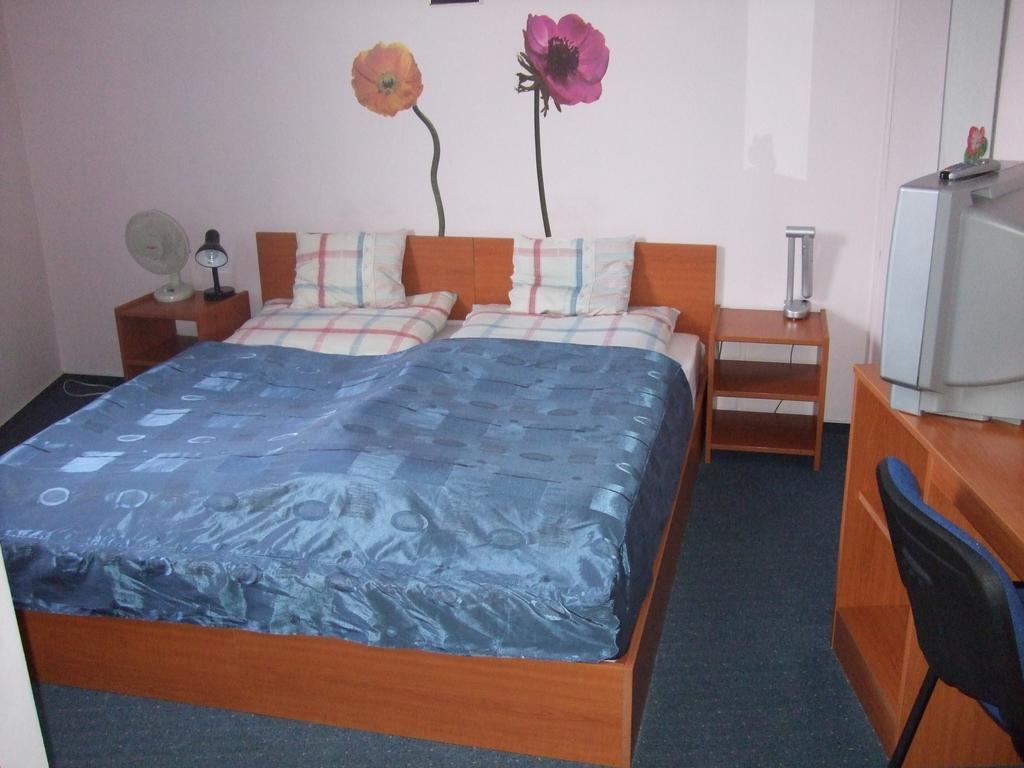 Timarhaz Panzio B&B Seghedin